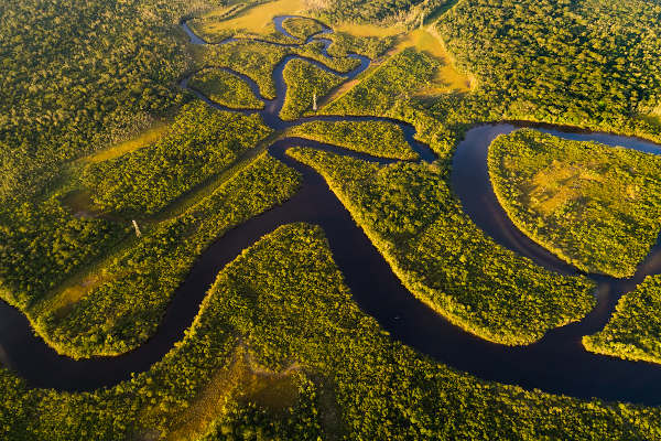 A Floresta Amazônica é importante para o clima do planeta e também é rica em biodiversidade.