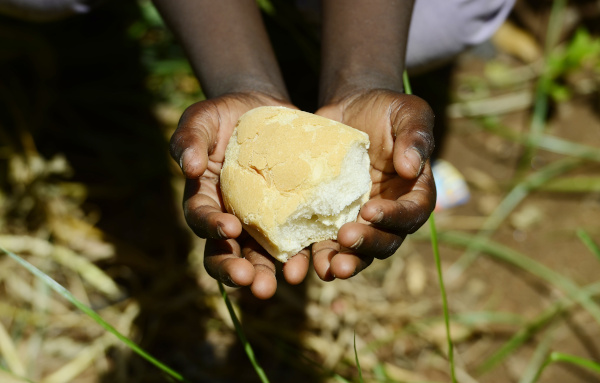 A escassez de alimento em várias partes do mundo é um dos fatores responsáveis pela desnutrição infantil.