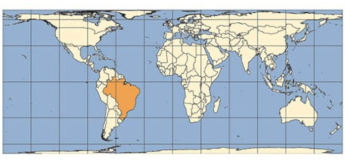 Projeção de Peters, ela privilegia os países subdesenvolvidos e em desenvolvimento.