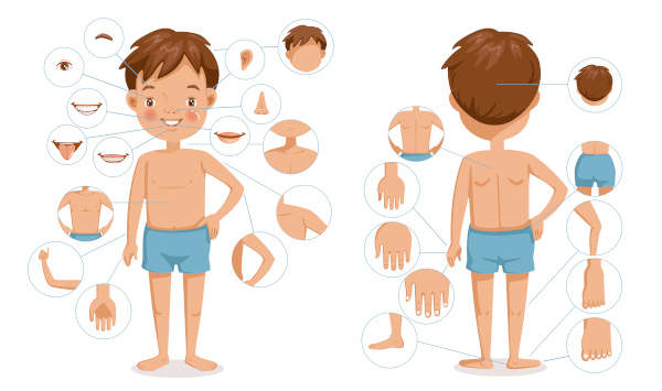 Conhecer as parts of the body em inglês é fundamental para uma comunicação efetiva.