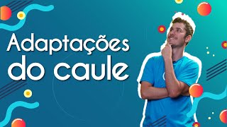 Professor ao lado do escrito "Adaptações do caule" em fundo azul.