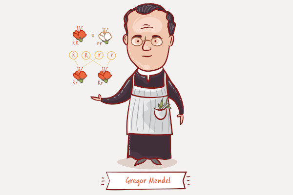 Gregor Mendel fez importantes contribuições para a ciência, porém seus trabalhos não foram imediatamente reconhecidos.