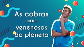 "As cobras mais venenosas do planeta" escrito sobre fundo azul ao lado da imagem do professor