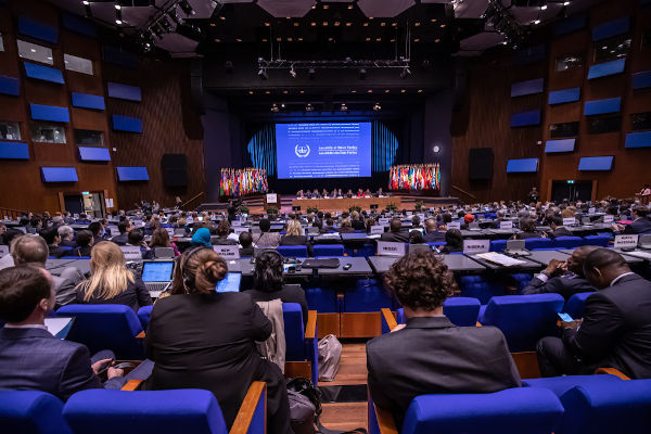 Assembleia dos Estados-membros do Tribunal Penal Internacional. 