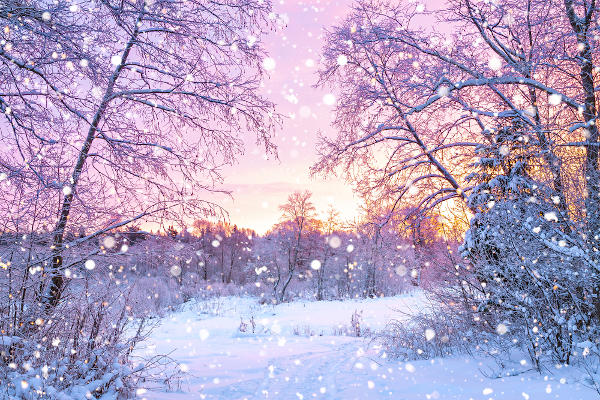 Pôr do Sol com neve na Floresta Boreal, Canadá