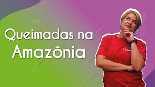 "Queimadas na Amazônia" escrito sobre fundo colorido ao lado da imagem da professora