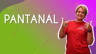 "Pantanal" escrito sobre fundo colorido ao lado da imagem da professora