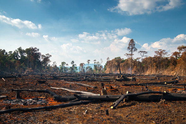  As atividades humanas geram modificações no ambiente, sendo muitas delas maléficas.