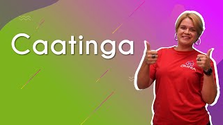 "Caatinga" escrito sobre fundo colorido ao lado da imagem da professora