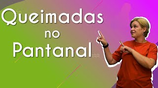 "Queimadas no Pantanal" escrito sobre fundo colorido ao lado da imagem da professora
