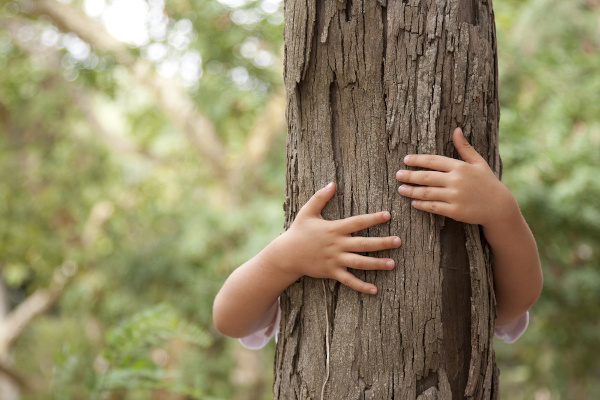 A melhor solução para as queimadas é a preservação ambiental e a prevenção dos focos.