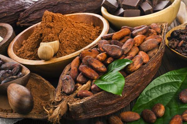 As sementes do cacau são usadas para a fabricação de cacau em pó, chocolate e manteiga de cacau.