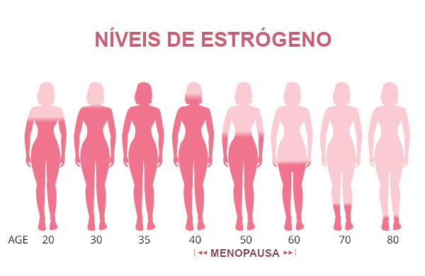 Durante a vida da mulher, observamos alterações nos níveis de estrógeno.
