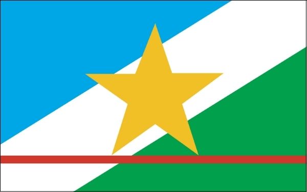 Bandeira do estado de Roraima.