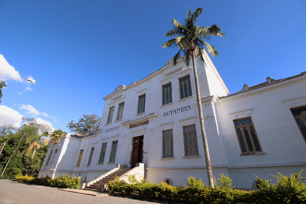 Instituto Butantan está localizado em São Paulo e tem mais de cem anos de história. 