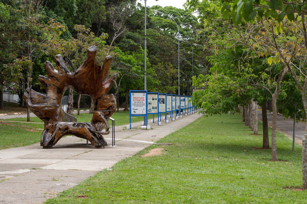 O parque é muito frequentado para atividades de lazer em família e com amigos. 