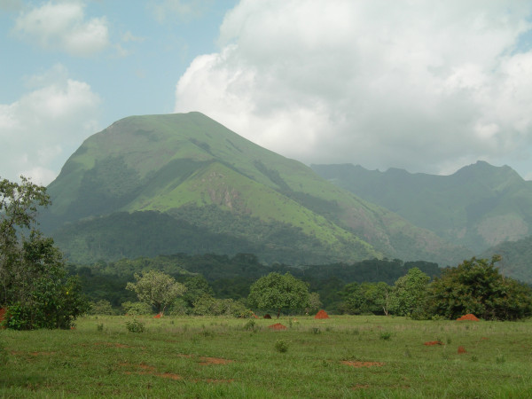 O Monte Nimba é a maior elevação da Guiné. 