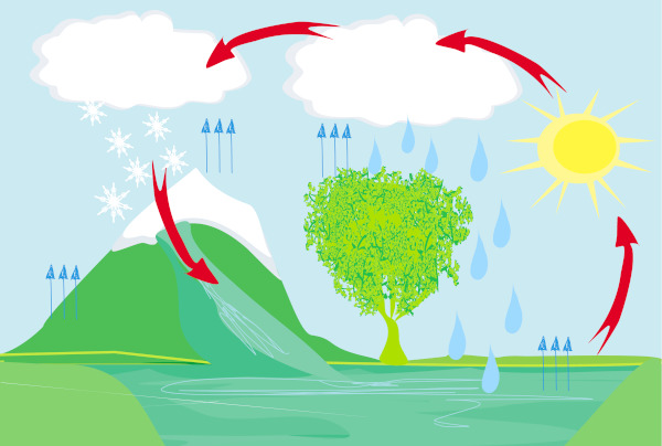 A evapotranspiração é um processo relacionado com o ciclo da água, pois permite que a água seja devolvida à atmosfera.