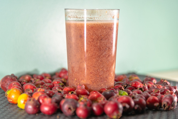 O araçá pode ser consumido in natura ou ser utilizado na fabricação de outros produtos.