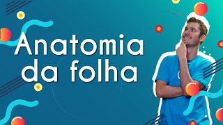 Professor ao lado do texto"Anatomia da folha" em fundo azul.