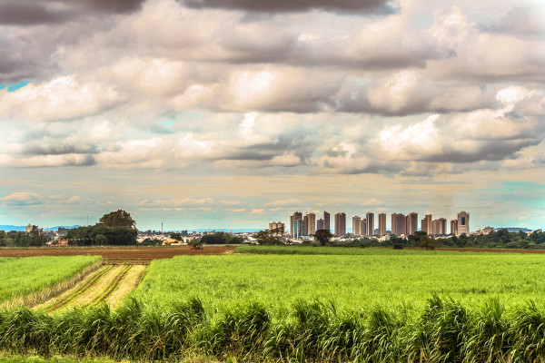Êxodo rural é a saída de pessoas do campo rumo às cidades.