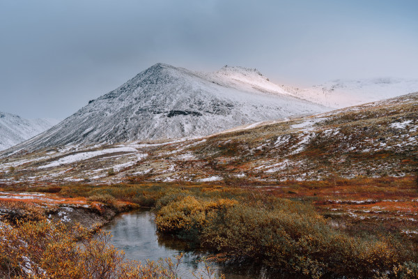 Tundra: características, vegetação, clima, fauna - Brasil Escola