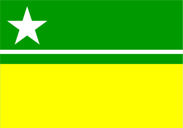 Bandeira de Boa Vista