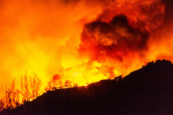 Os incêndios na Europa foram potencializados pela onda de calor extremo que assolou o continente em 2021.[1]