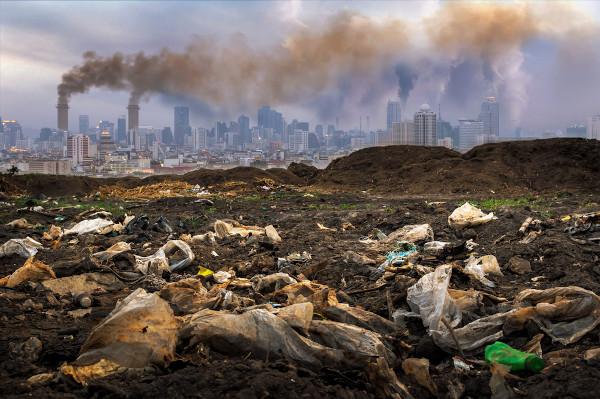 Problemas Ambientais No Brasil Veja Os Principais Problemas Images