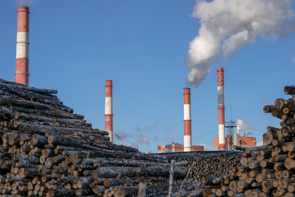 A ação do homem pode ser responsável pelo desequilíbrio ambiental.