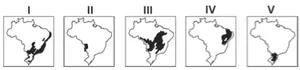 Mapas do Brasil marcando: área litorânea brasileira e Sudeste; MT e MS; Centro-Oeste; parte do Nordeste; parte do Sul.
