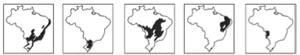 Mapas marcando: parte do litoral, Sudeste e Sul; parte do Sul; parte do Centro-Oeste, Nordeste e Sudeste; MT e MS.