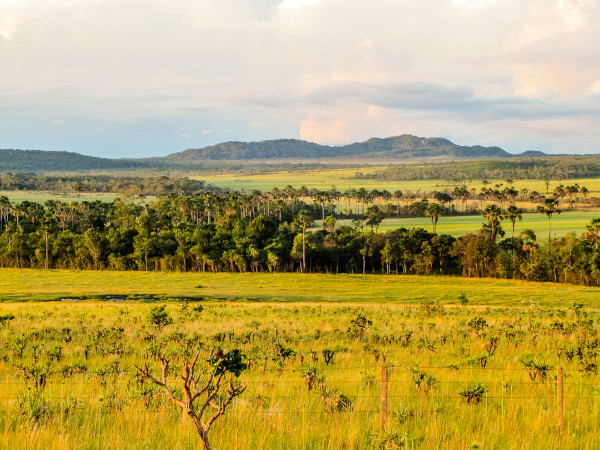  Domínio morfoclimático cerrado.