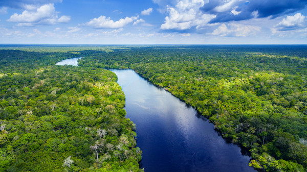 Domínio morfoclimático amazônico