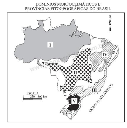 observe os mapas￼: nessa atividade o aluno localizará a vegetação