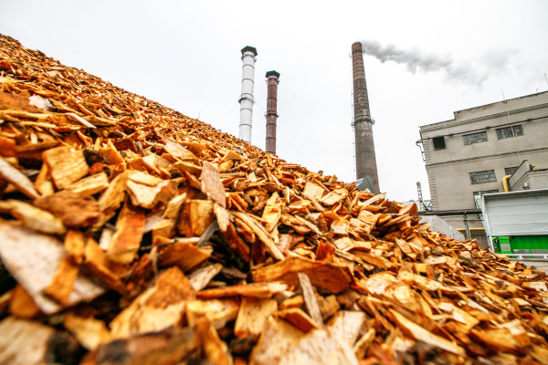 Resíduos de madeira em fábrica que produz energia de biomassa