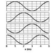  Gráficos mostram propagação da onda do mar