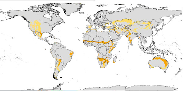 Mapa das áreas de ocorrência do clima semiárido