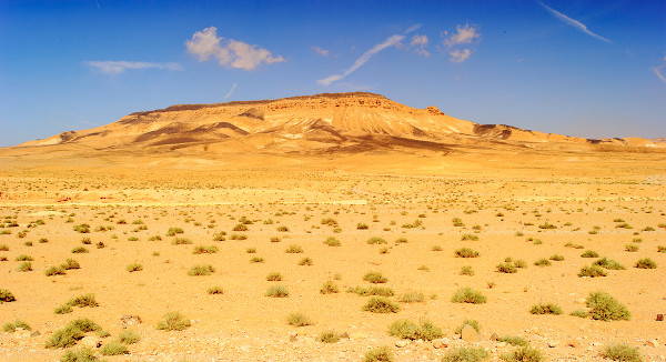 Deserto Sírio