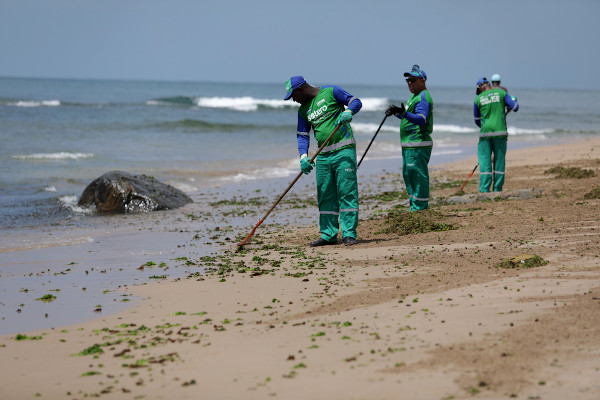 Trabalhadores limpando praia de Pituba após derramamento de petróleo no mar em 2019