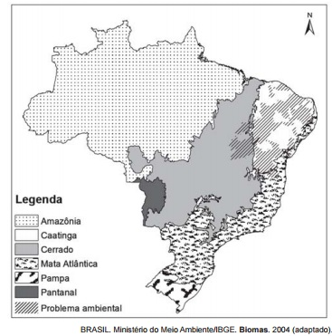 Mapa dos biomas brasileiros