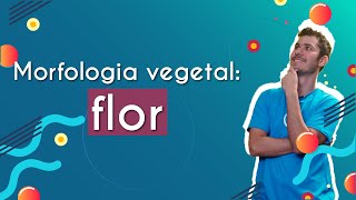 "Morfologia vegetal: flor" escrito sobre fundo azul ao lado da imagem do professor