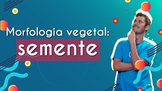 "Morfologia vegetal: semente" escrito sobre fundo azul ao lado da imagem do professor