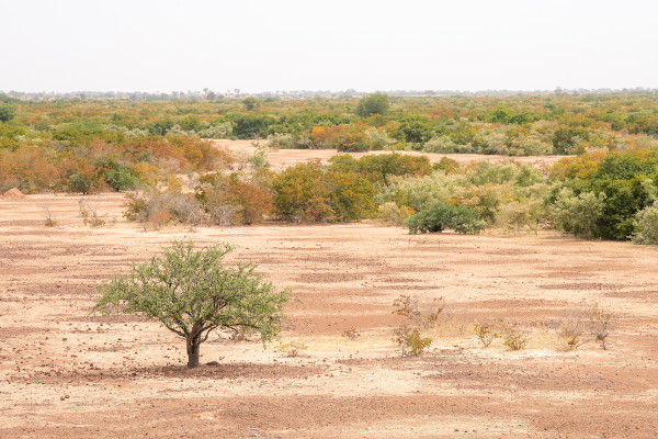 Paisagem na região do Sahel, no continente africano.