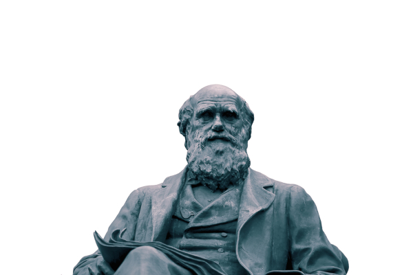 O neodarwinismo incorpora à teoria de Darwin novos conhecimentos científicos, em especial em genética.