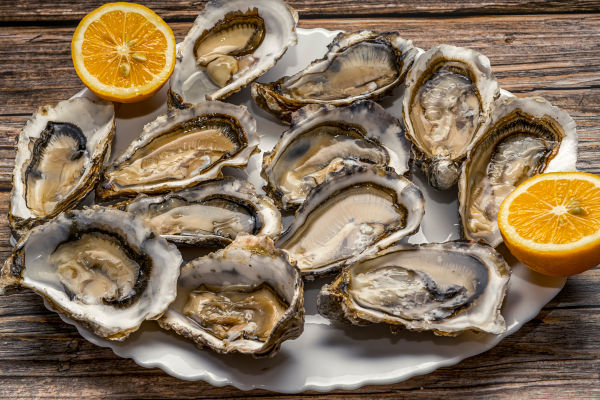 As ostras são moluscos muito apreciados na nossa alimentação.