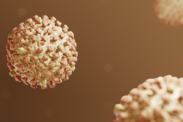A mononucleose é causada por um vírus da família Herpesviridae, o vírus Epstein-Barr (EBV).