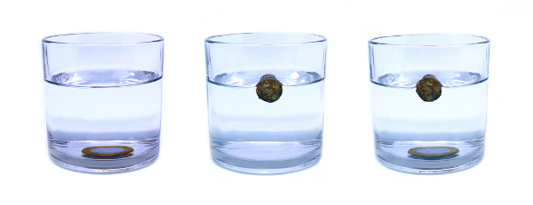  Experiência do princípio de Arquimedes, em que a moeda afunda e a rocha flutua nos copos.