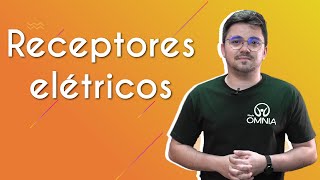 "Receptores elétricos" escrito sobre fundo alaranjado ao lado da imagem do professor