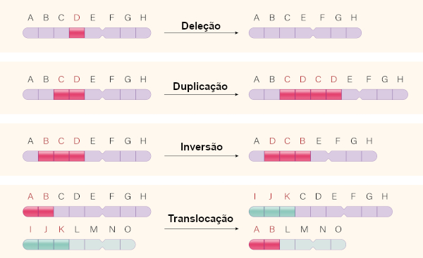 Ilustração dos diferentes tipos de alterações cromossômicas estruturais.